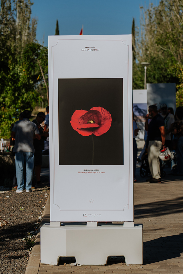 De la Uz inaugura una exposición de la Asociación Cámara en Mano