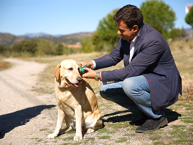 campaña perros