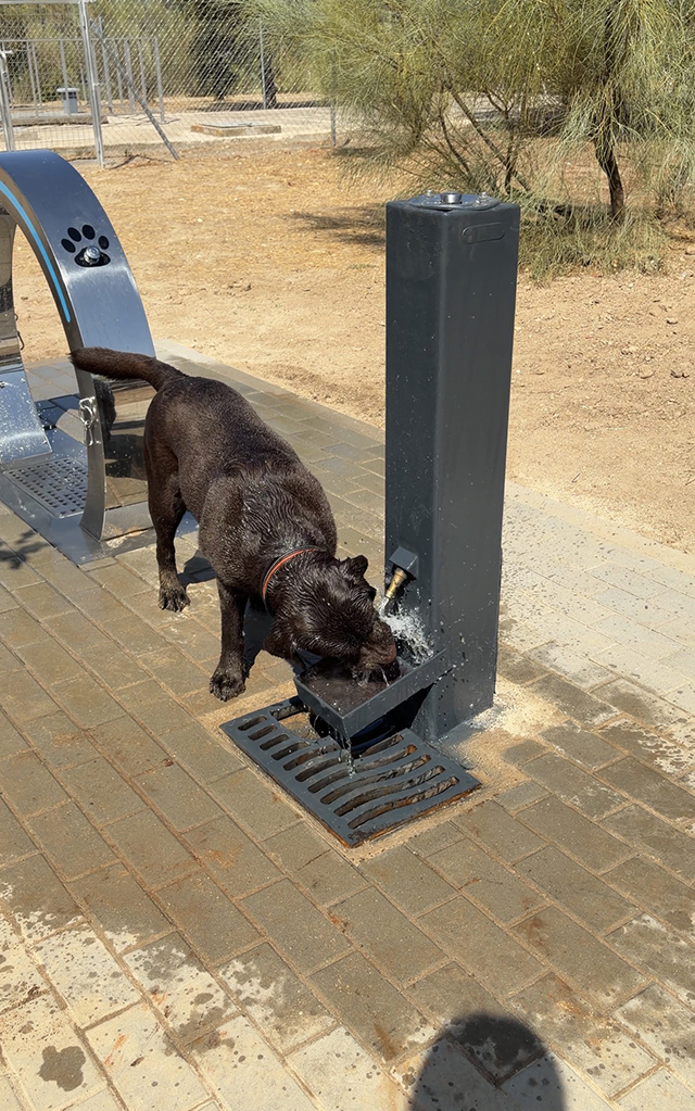 rociadores de agua