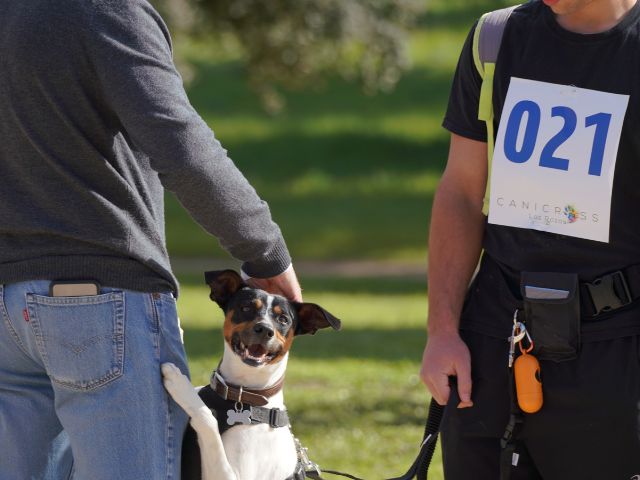 Nueva edición de CaniCross, la carrera no competitiva para los vecinos y sus perros