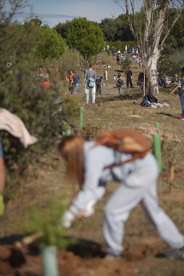 Educación Ambiental