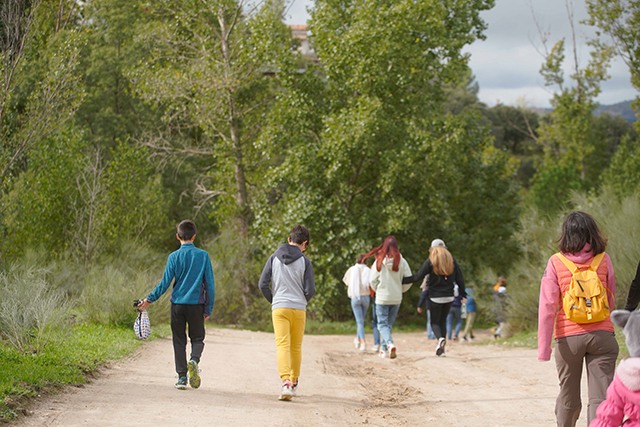 educacion ambiental