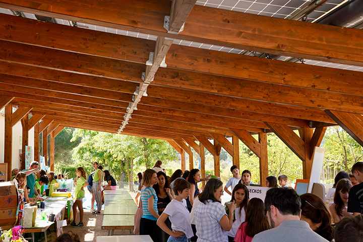 Educación Ambiental