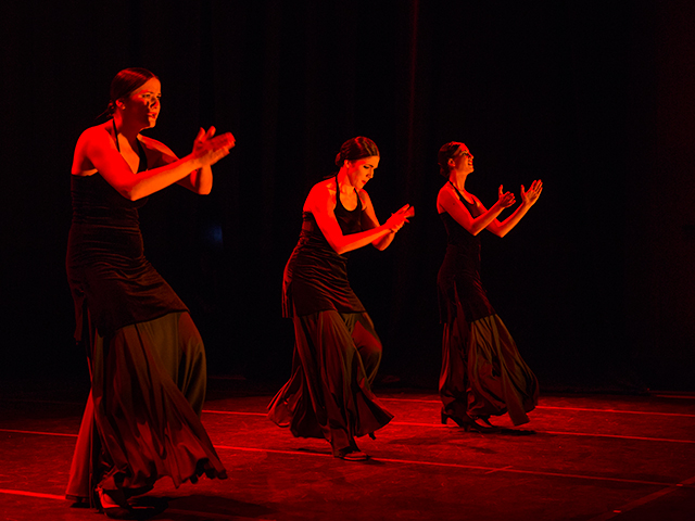 Escuela de Danza de Las Rozas 