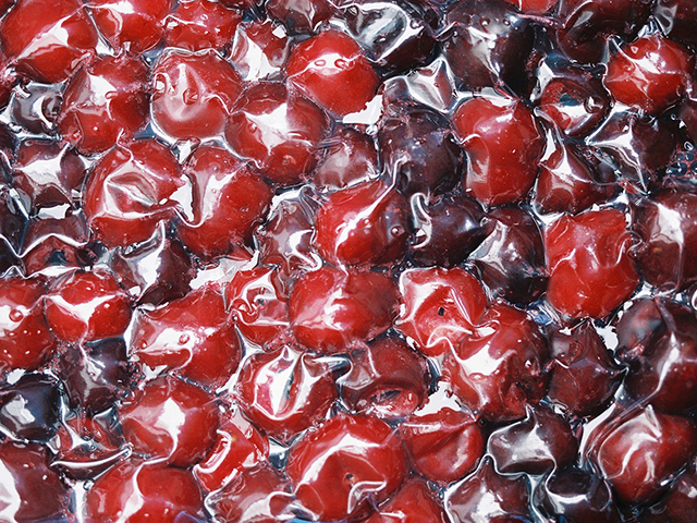 exposición “Un vaso de agua salada”