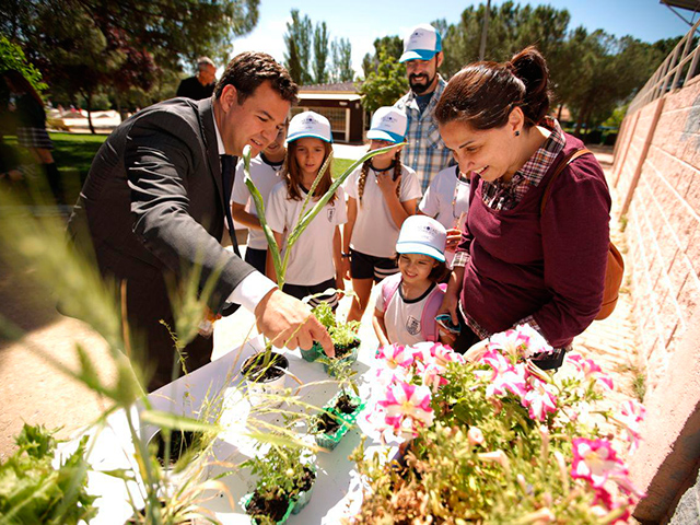 Ecoescuelas