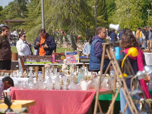 Propuestas para el fin de semana