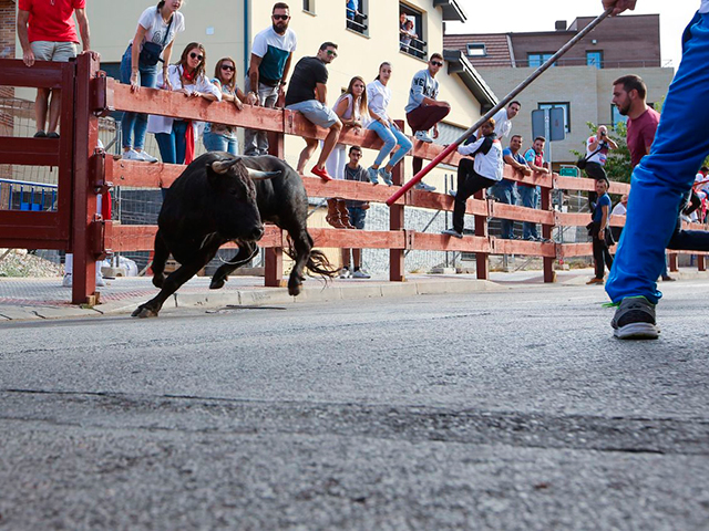 Las Rozas dice adiós a San Miguel 2017 