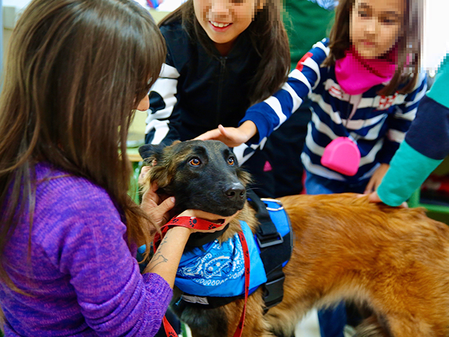 El Ayuntamiento impulsa la educación en el cuidado responsable de mascotas mediante talleres escolares