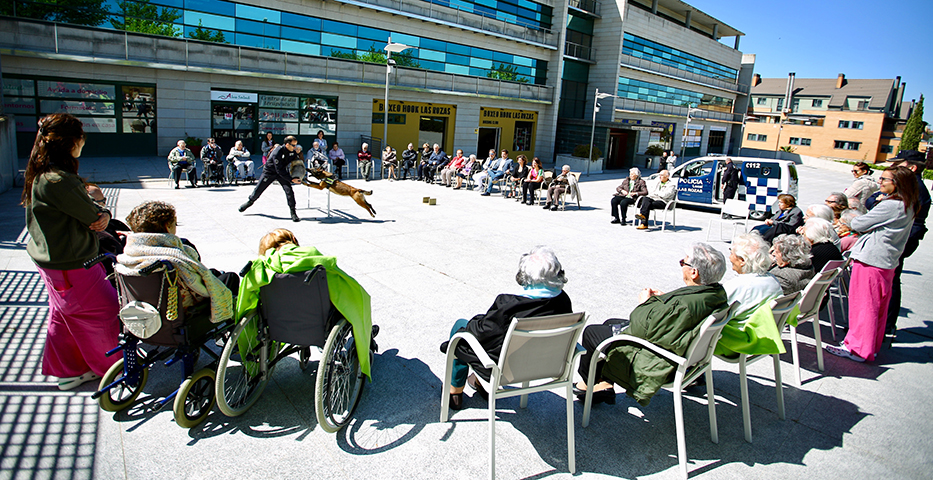 Unidad Canina de Las Rozas