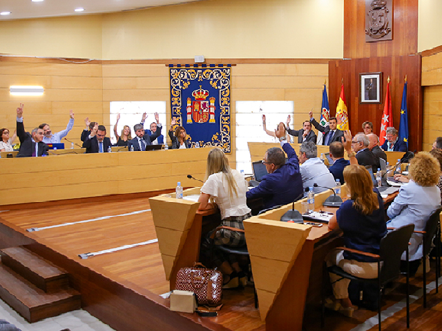 Pleno del Ayuntamiento