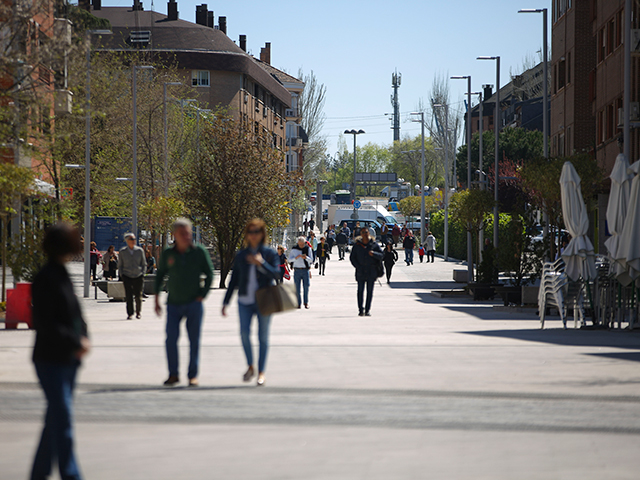 El Pleno aprueba poner en marcha los órganos de participación previstos para el régimen de Gran Ciudad