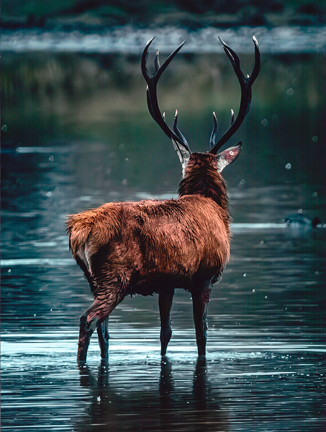 Concurso de Fotografía Jesús y Adán