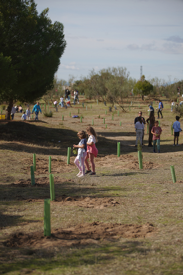 Plantación