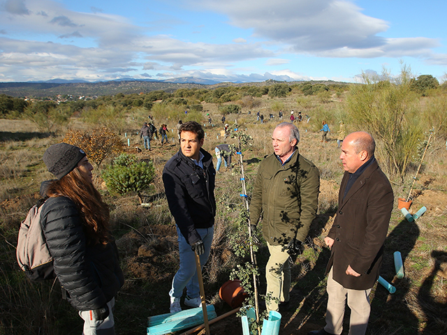 El Ayuntamiento de Las Rozas colabora junto a Hyundai en la plantación de 600 árboles