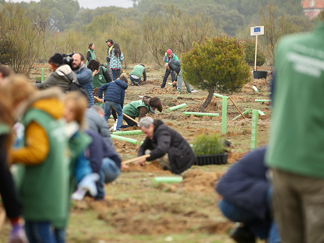 Las Rozas, sede de la COP25 con la plantación de 1.000 árboles para combatir la crisis climática