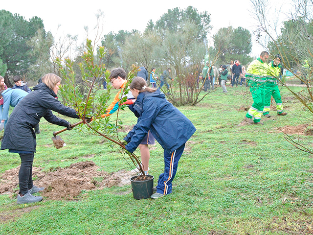 Embajadores europeos participan en una plantación en Las Rozas