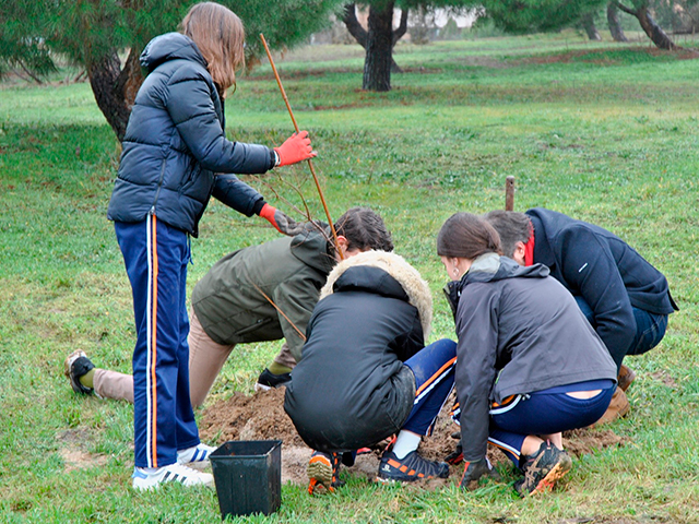 Embajadores europeos participan en una plantación en Las Rozas