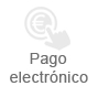 pago electronico