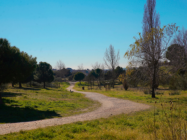 Adjudicadas las obras para la completa remodelación del parque urbano de El Lazarejo