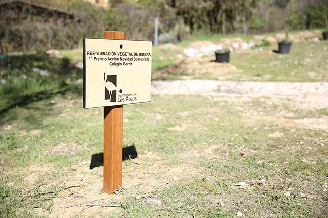 una jornada de plantación de árboles 