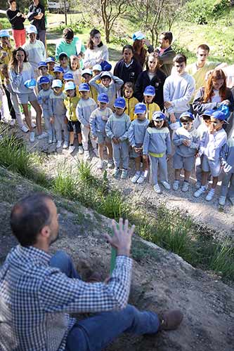 una jornada de plantación de árboles 