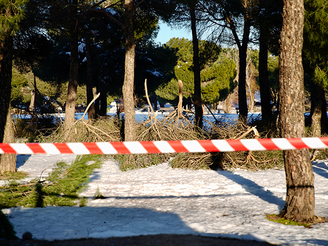 Pleno urgente el 25 de enero para solicitar la declaración de zona catastrófica tras Filomena