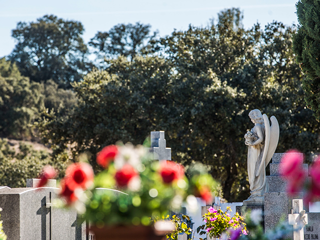 El Ayuntamiento amplía los horarios de los cementerios por la festividad de Todos los Santos