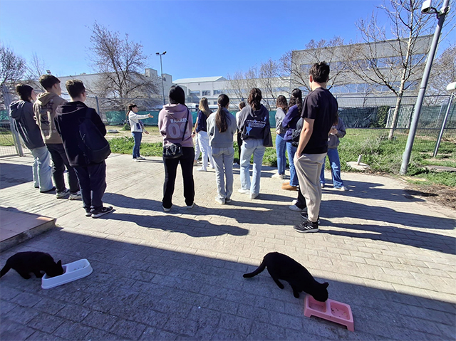 Cerca de 5.300 jóvenes participaron en las propuestas del área de Juventud