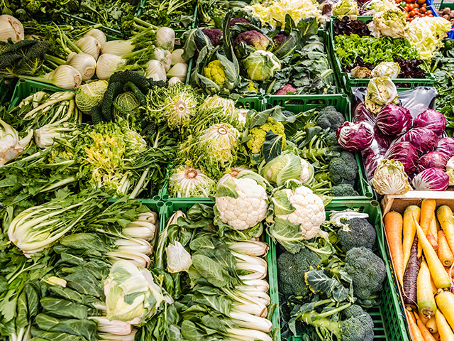 El sábado abren los mercadillos de Las Rozas con todos sus puestos al ampliar su superficie y con medidas contra el COVID