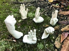 REENFOCANDO LA DIVERSIDAD CON ARTE