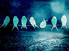 Música bajo la lluvia: Taller de creación musical. Taller Educar Creando