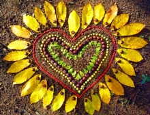 Land Art: Arte con y en la naturaleza. Taller Educar Creando
