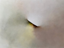 Exposición: Iratxe Arteta. Raíces