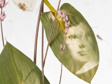 Exposición: Paular Dornan. Brotes de la Retentiva