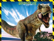 Discovering Dinosaurs