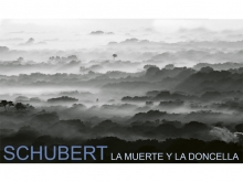 La muerte y la doncella de Franz Schubert. Obras para Entender y Amar la Música