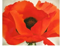 Georgia O´Keeffe. Las flores tomaron el arte. Taller Educar Creando 