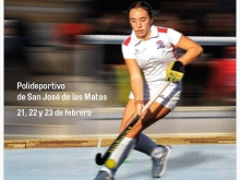 Campeonato de España de Hockey Sala juvenil