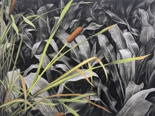 Exposición  Ecologías del colapso