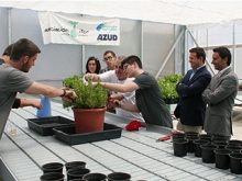  Inclusión que desarrollan Plena Inclusión Madrid y Fundación Repsol en Las Rozas