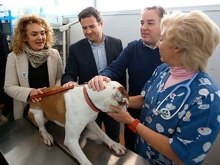 Las Rozas, municipio pionero en aplicar el "sacrificio cero" de animales, ley regional que entra en vigor hoy