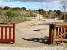 El Ayuntamiento propone a Madrid y ciudades del Noroeste una estrategia común para la gestión de los jabalíes