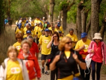 El Mes del Mayor en Las Rozas ofrece más de 20 actividades culturales y de ocio