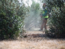 Comienza la operación de desbroce y tratamientos del terreno para prevenir incendios en la época estival