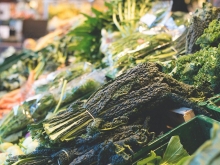 El Ayuntamiento de Las Rozas atiende a todas las personas necesitadas en situación de emergencia social por la crisis Covid