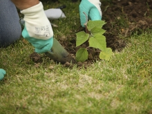 Nuevo convenio para impulsar las acciones de reforestación en el municipio