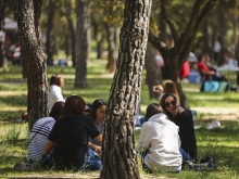 El 9 de Noviembre y el 29 de septiembre fiestas locales en Las Rozas para el año 2021