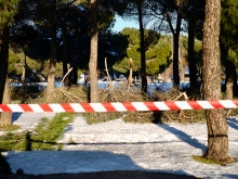 Pleno urgente el 25 de enero para solicitar la declaración de zona catastrófica tras Filomena