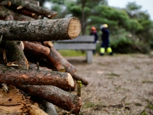 Más de 7.500 m3 de leña serán puestos a disposición de los vecinos en la planta de astillaje de Monterrozas